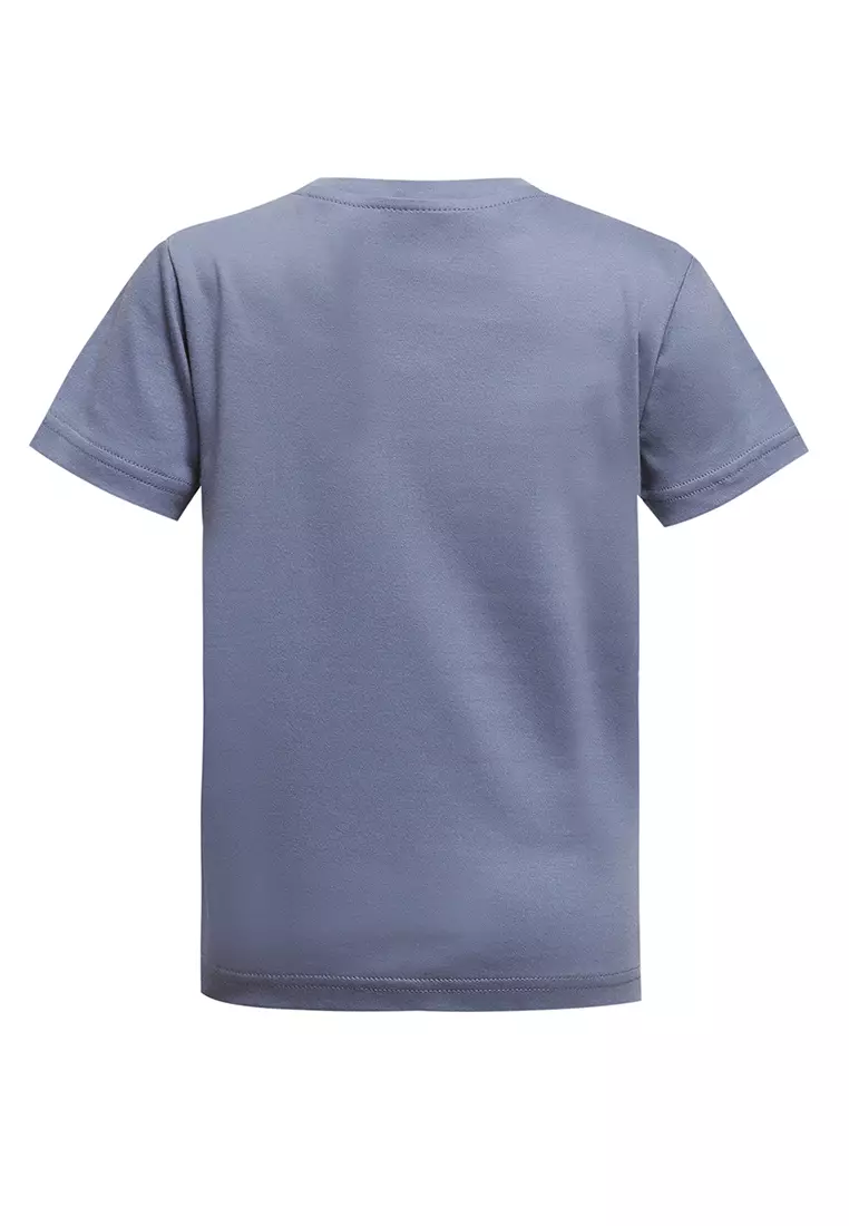 Qna Boy Charlie T-shirt Anak Abu