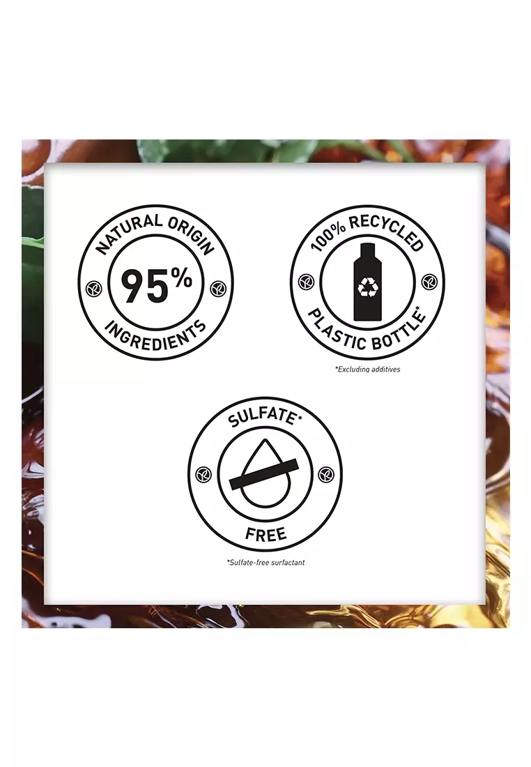 Repair Restoring Shampoo with Organic Jojoba Oil - 300ml Nourishes Dry & Damaged Hair