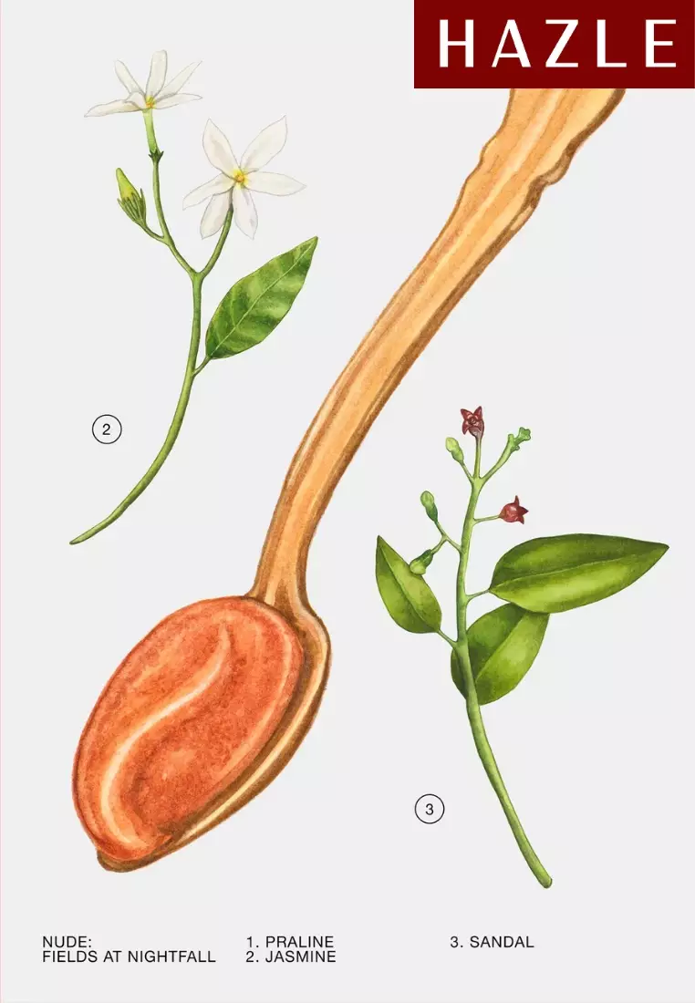 Zara Fields at Nightfall Woman EDP 30 ml