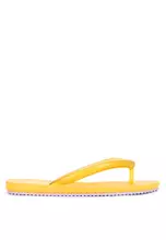yellow/lilac