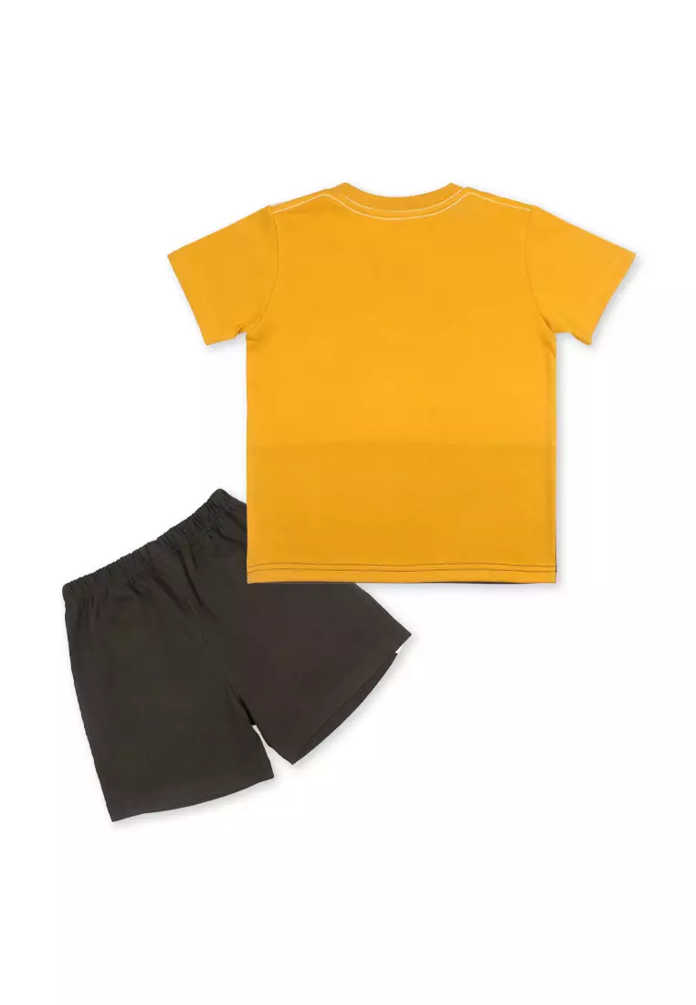 Boys T-Shirt With Short Set