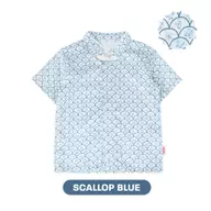 Scallop Blue