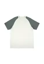 CASTOR GRAY/SILVER LINING