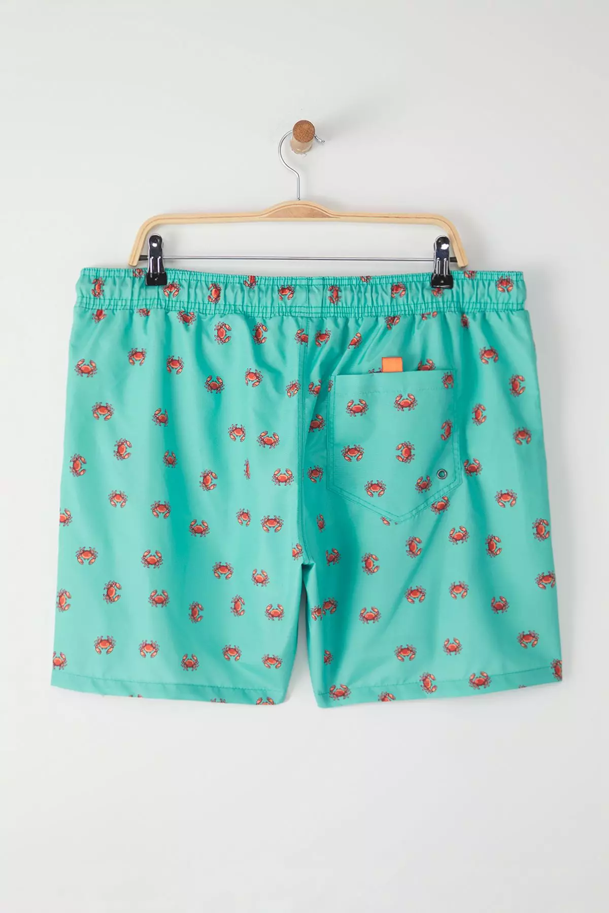 Mint Standard Size Crab Printed Plus Size Swimsuit Swim Shorts  TMNSS24KD00006