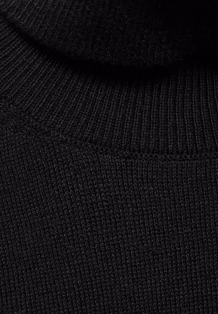 Turtleneck Knit Sweater