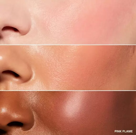 Bobbi Brown Pot Rouge For Lips & Cheeks - Pink Flame