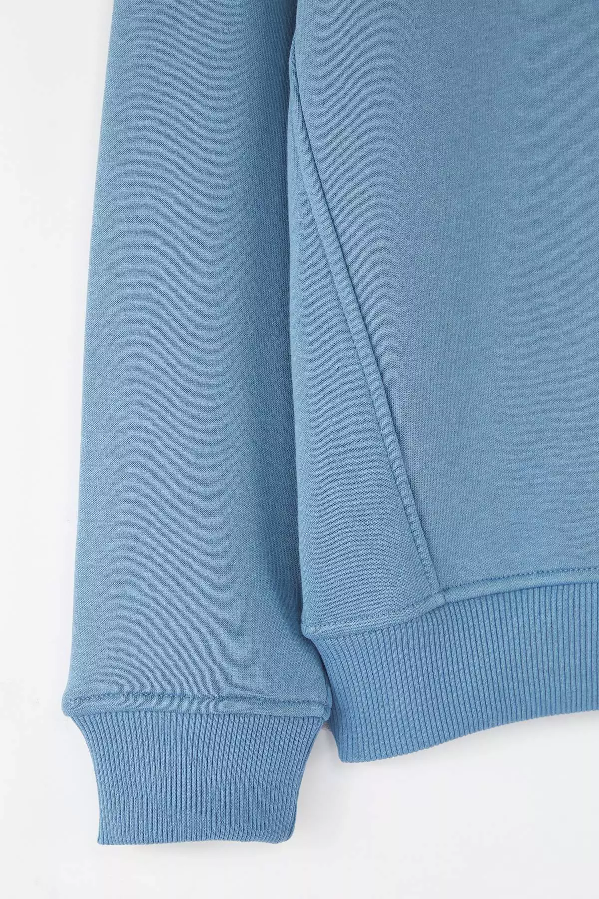 Blue Regular/Normal Cut Stand Collar Zippered Cotton Horse Embroidery Inside Fleece Sweatshirt Tmnaw24Sw00041