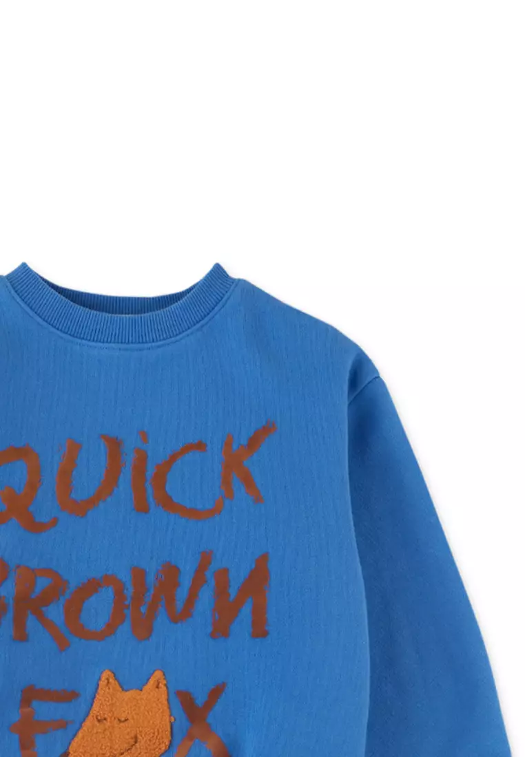 Boys Fox Flock Print And Chenille Embro Jersey Fleece Pullover