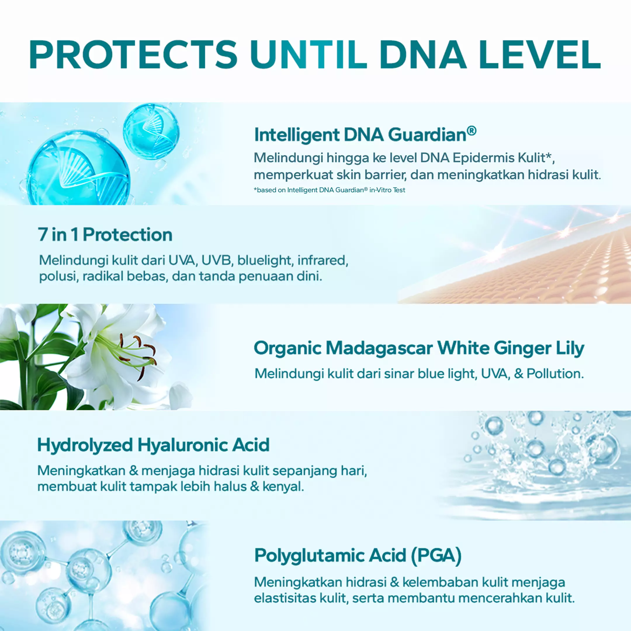 AMATERASUN [REAL SPF Certified] UV Sunscreen Cream SPF 50+ PA++++ 50gr