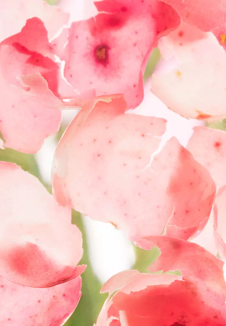 Miami Muse Hand Lotion