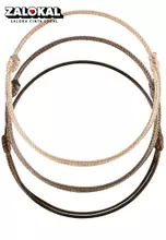 Light Brown Dark Brown Brown