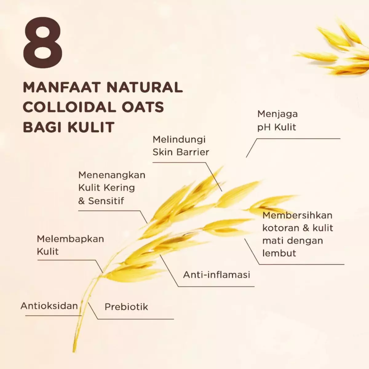 Aveeno® Baby Daily Moisture Wash & Shampoo 354ml - Sabun & Sampo Bayi 354ml