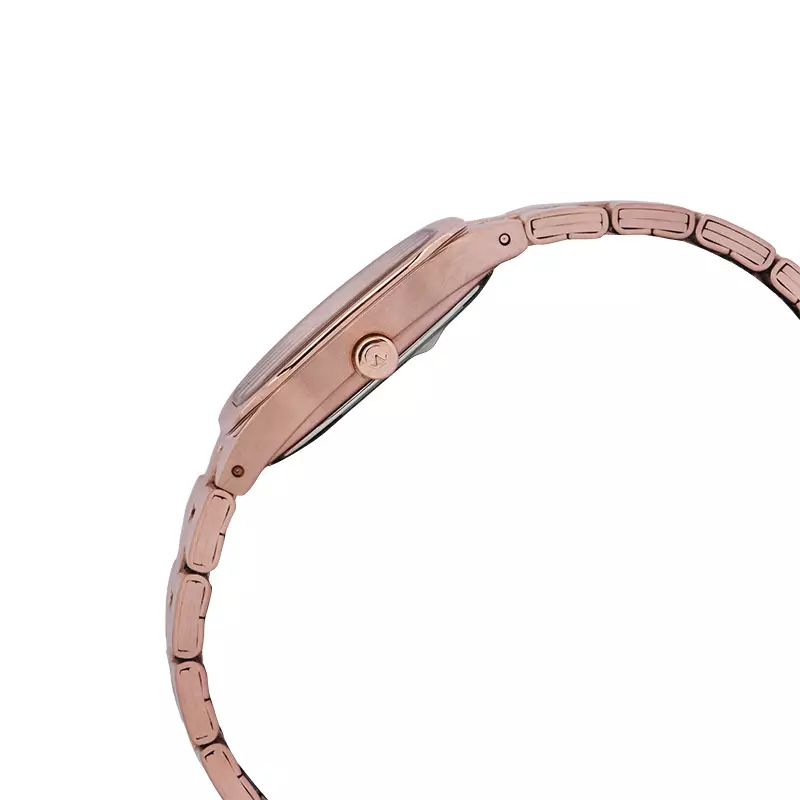 Jam Tangan Wanita Alexandre Christie Passion AC 2B53 LD BRGSL Ladies Silver Dial Rose Gold Stainless Steel Strap