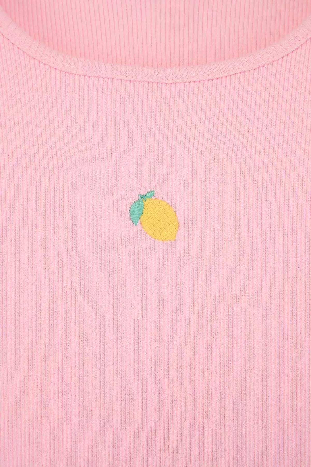 Pink-Mint Embroidered Knitted T-Shirt Tkdss25Ts00027