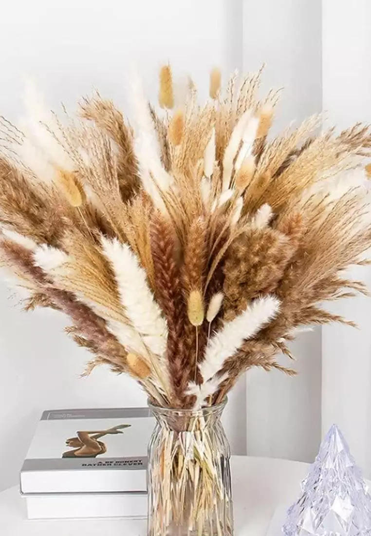 Buy Kings Collection 110pcs Natural Dried Pampas Grass Fluffy Pompous 