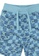 GAP blue Toddler Organic Cotton Mix & Match Printed Shorts C427EKA2AB3CF9GS_3