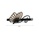 Glamorousky white Fashion and Elegant Butterfly Black Hair Slide with Cubic Zirconia 6A070AC435979CGS_2