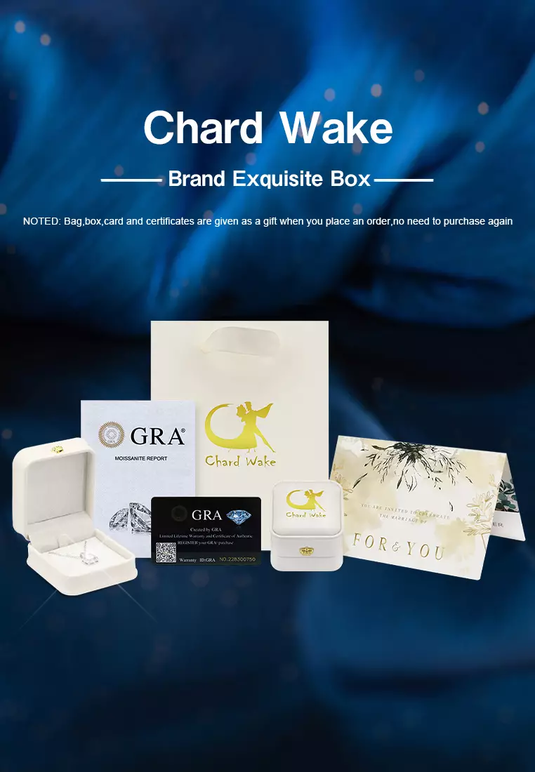 Anting Wanita Perhiasan Berlian Fashion Anting Giwang Cewek Original Earrings Sertifikat GRA silver