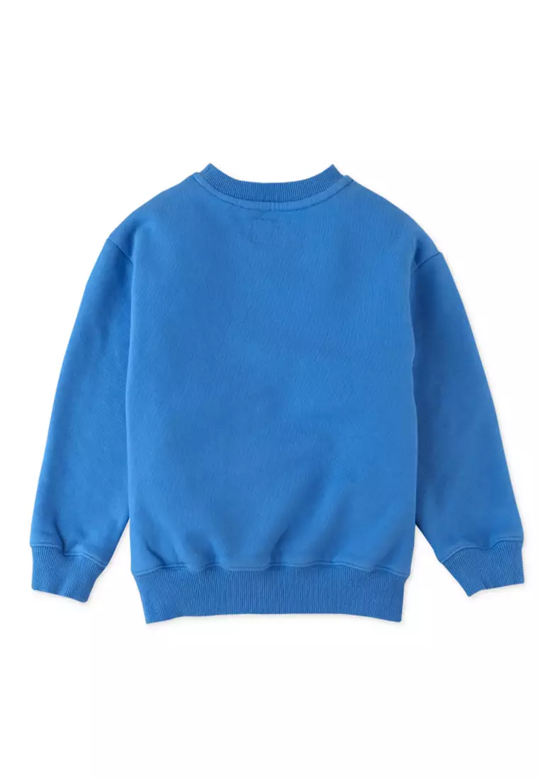 Boys Fox Flock Print And Chenille Embro Jersey Fleece Pullover