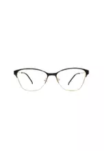 Shiny Black / Shiny Gold