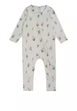 Vanilla/Petite Fleur