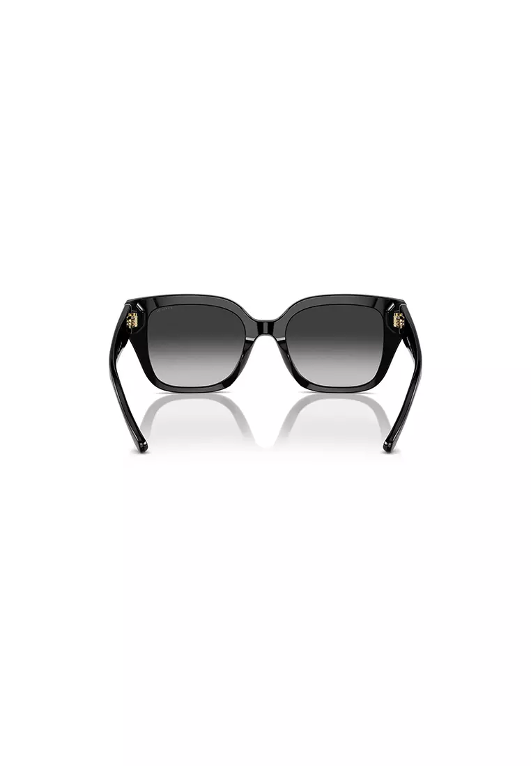 Women's Square Frame Black Acetate Sunglasses - HC8392U