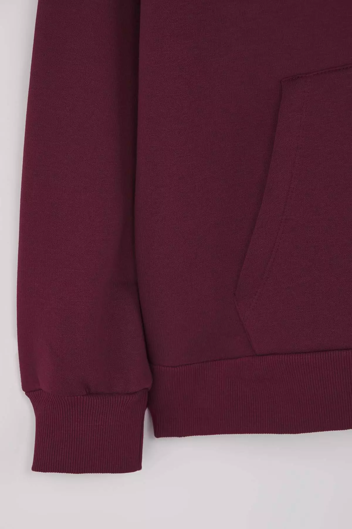 Plum Thick Polar Fleece Oversize/Wide Pattern Hooded Basic Knitted Sweatshirt Twoaw24Sw00103