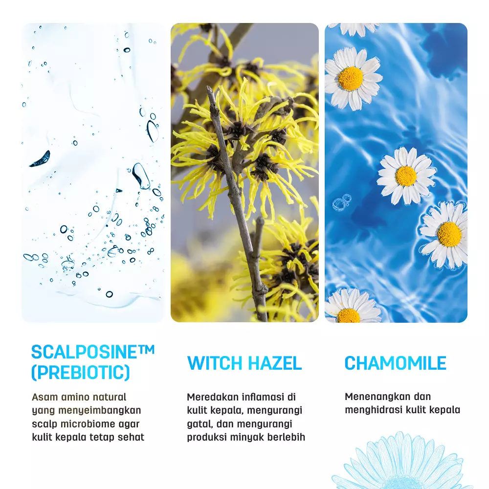 Jual Erha ERHAIR SCALPERFECT Daily Balancing Shampoo 250ml Original