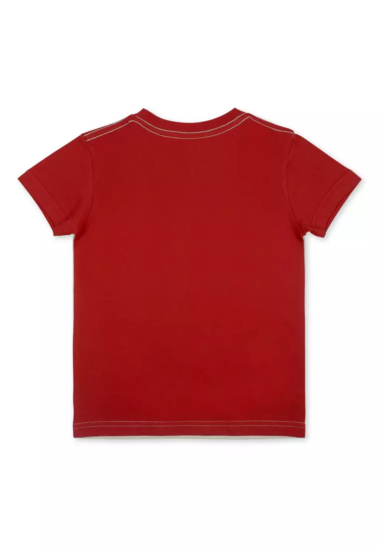 Boys T-Shirt with Print Details