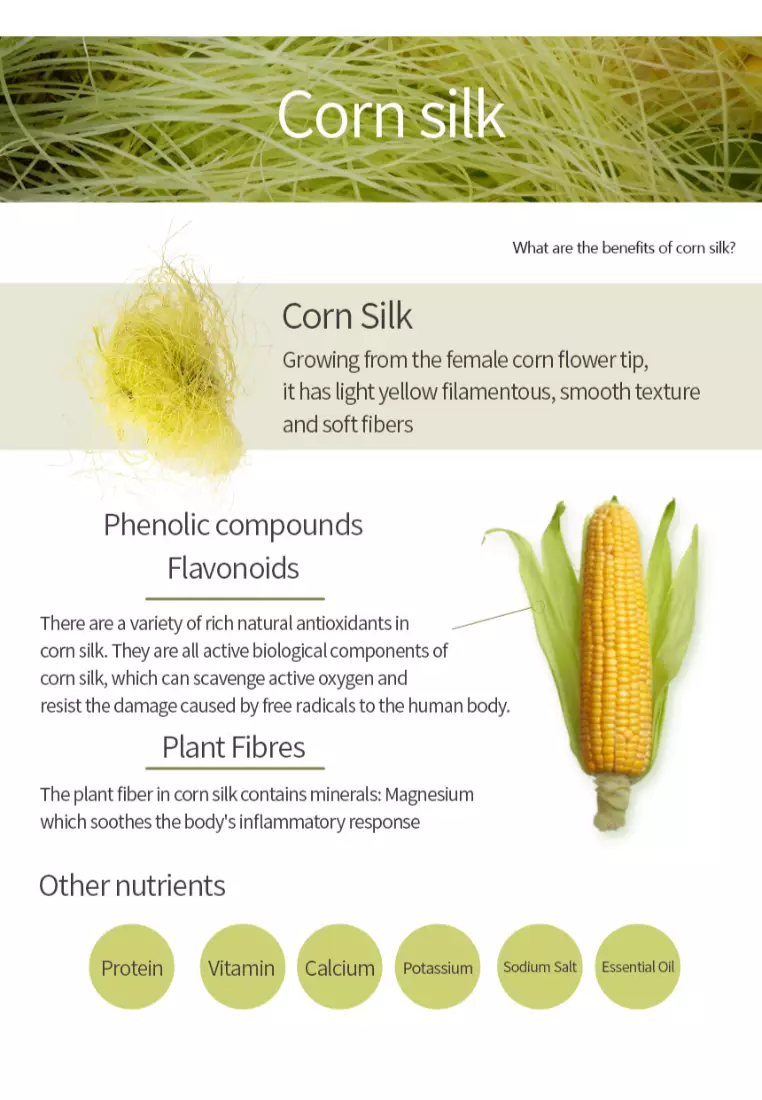 Teazen Corn Silk Tea (40pcs)