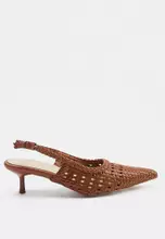 Camel/Multi
