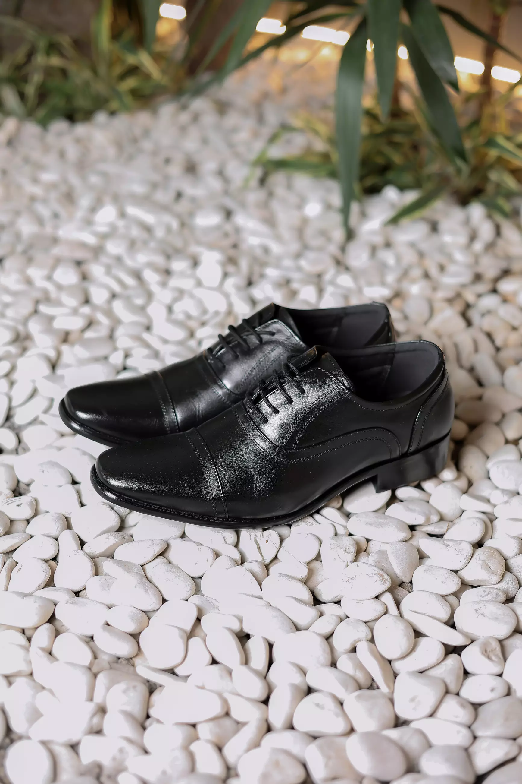 Dante Dress Shoes Lace Up pantofel Cow Leather - Black