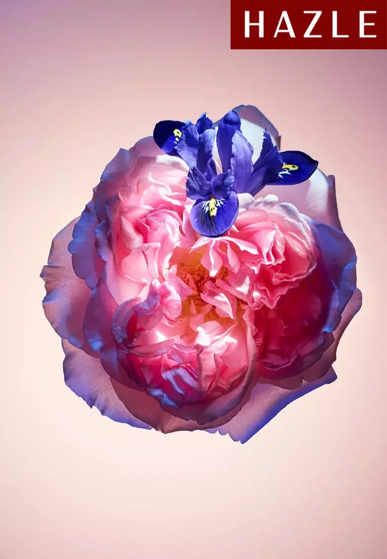 Rose des Vents Woman EDP 100 ml