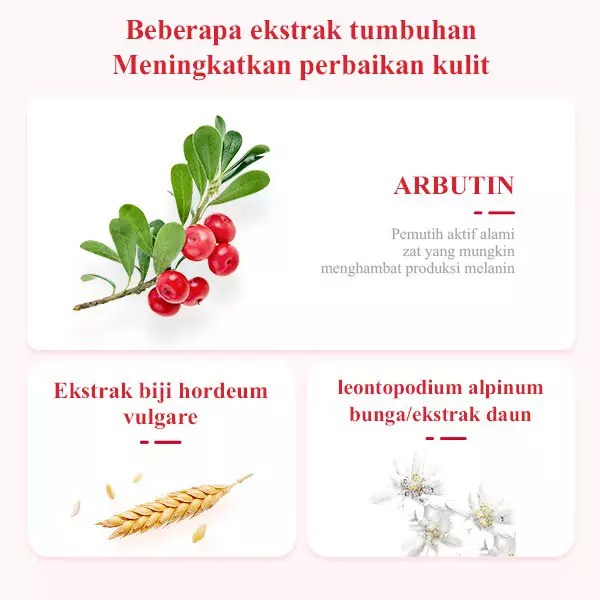 [BPOM] BREYLEE Pomegranate Night Cream - Mencerahkan (50 Gr)