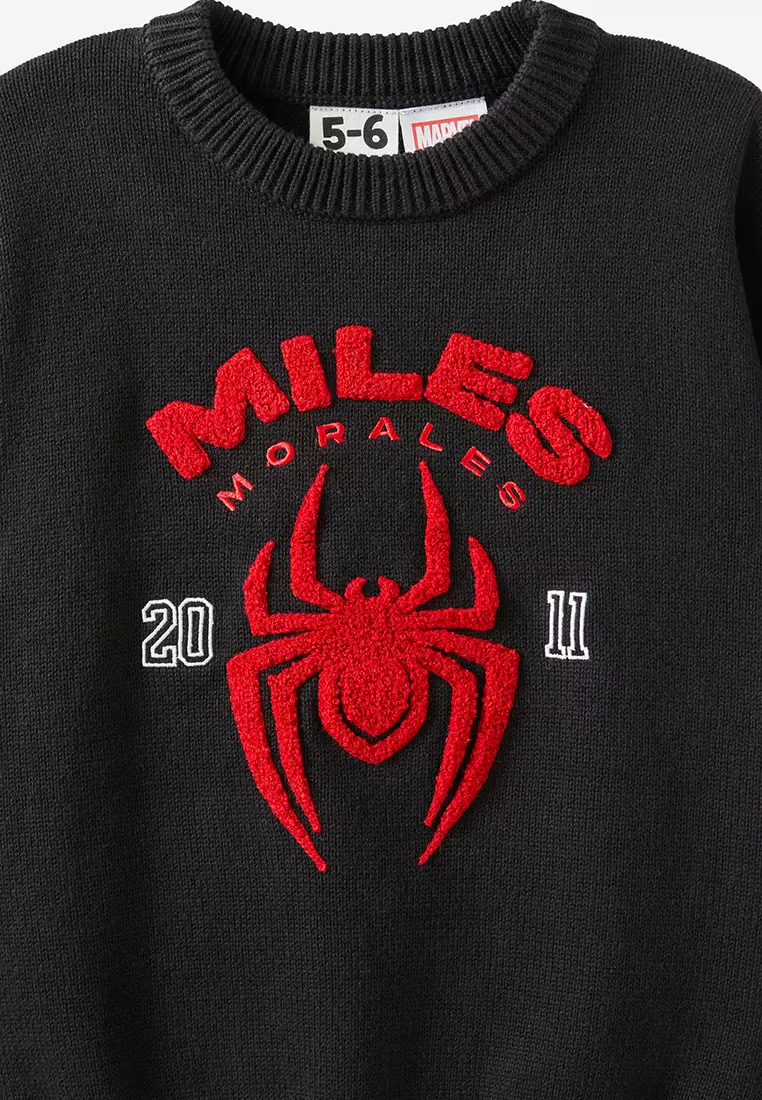 Licensed Knit Pull Over