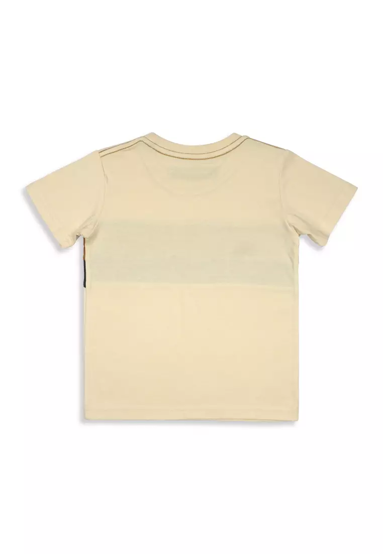 Boys T-Shirt with Print Details