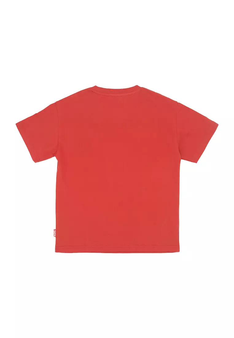 Boys Licensed Oversize Graphic T-Shirt Amazing Swing