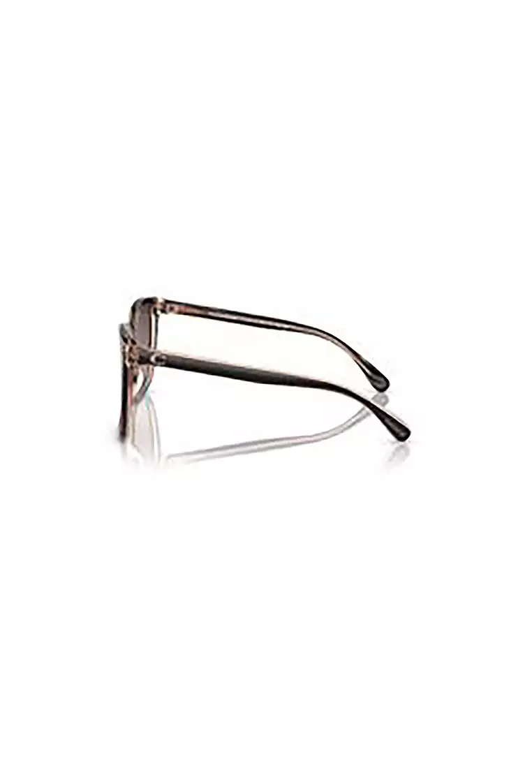 Women's Square Frame Black Acetate Sunglasses - HC8381F