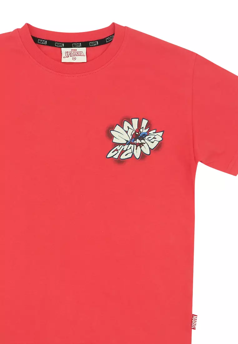 Boys Licensed Oversize Graphic T-Shirt "Wall Crawler"