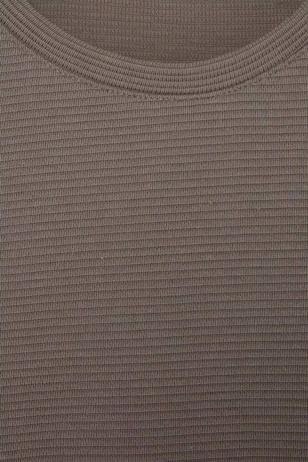 Mink Regular/Normal Cut Textured T-Shirt Tmnss26Ts00067