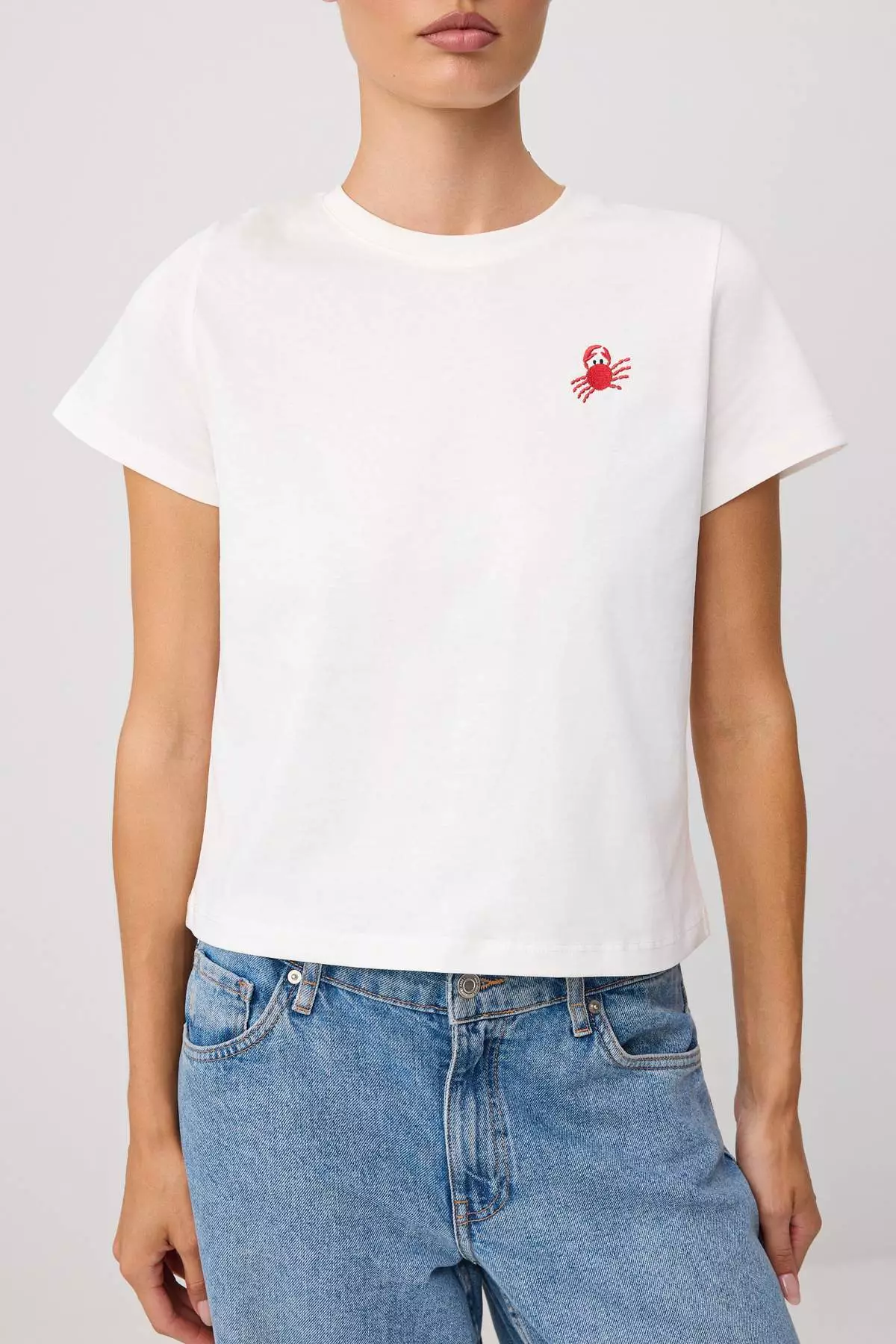 Ecru Embroidered Regular Crew Neck Standard Sleeve Short 100% Cotton Knitted T-Shirt Twoss26Ts00124