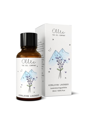 Ollie Ollie Himalayan Lavender Essential Oil 30ml D0113ES510A033GS_1
