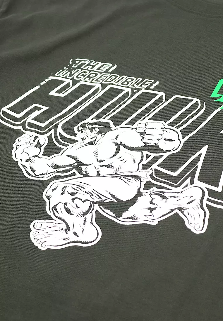 Marvel Comics Mens "The Incredible Hulk" Graphic T-Shirt
