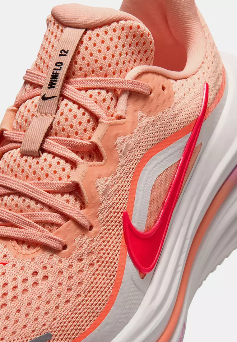 Nike Air Winflo 12