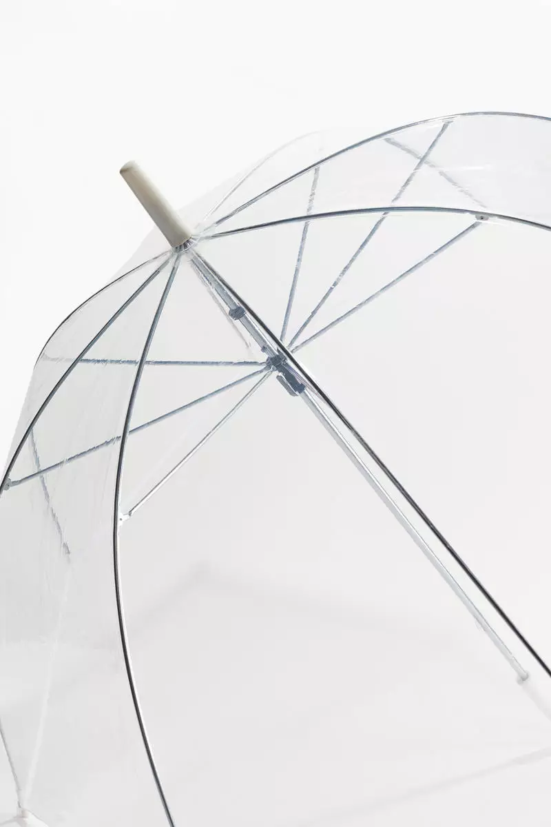 Transparent umbrella