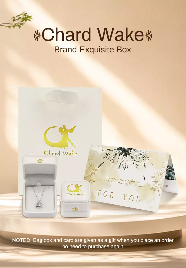 Kalung Pria Fashion Korea Double Kalung Titanium Anti-Menghitam Cowok Kotak Gratis silver