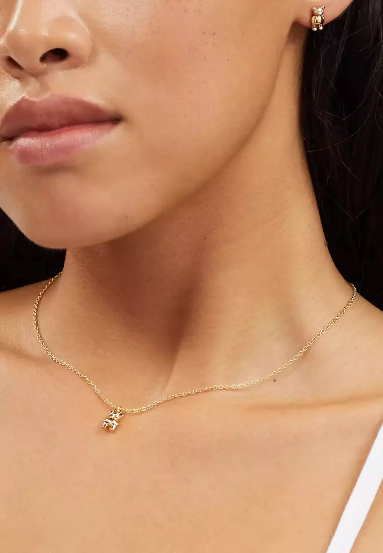 Coach earrings and necklace online