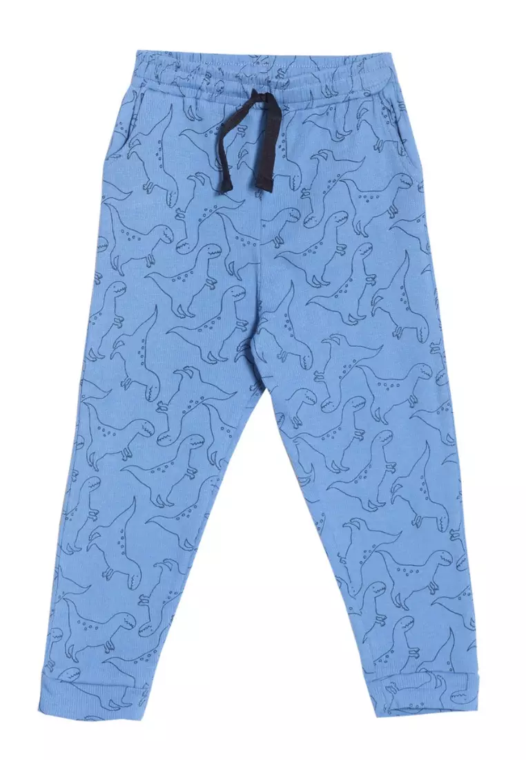 Dino Doodle Boys Jogger Set