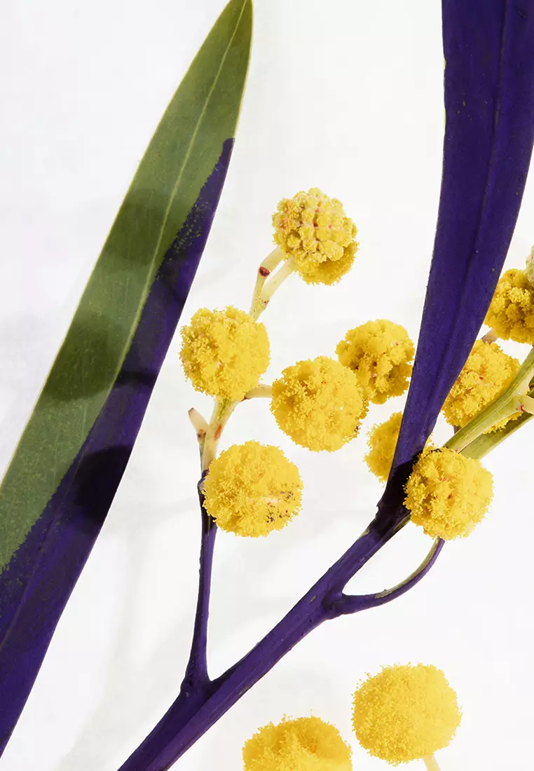 Fleur de Mimosa Body Scrub