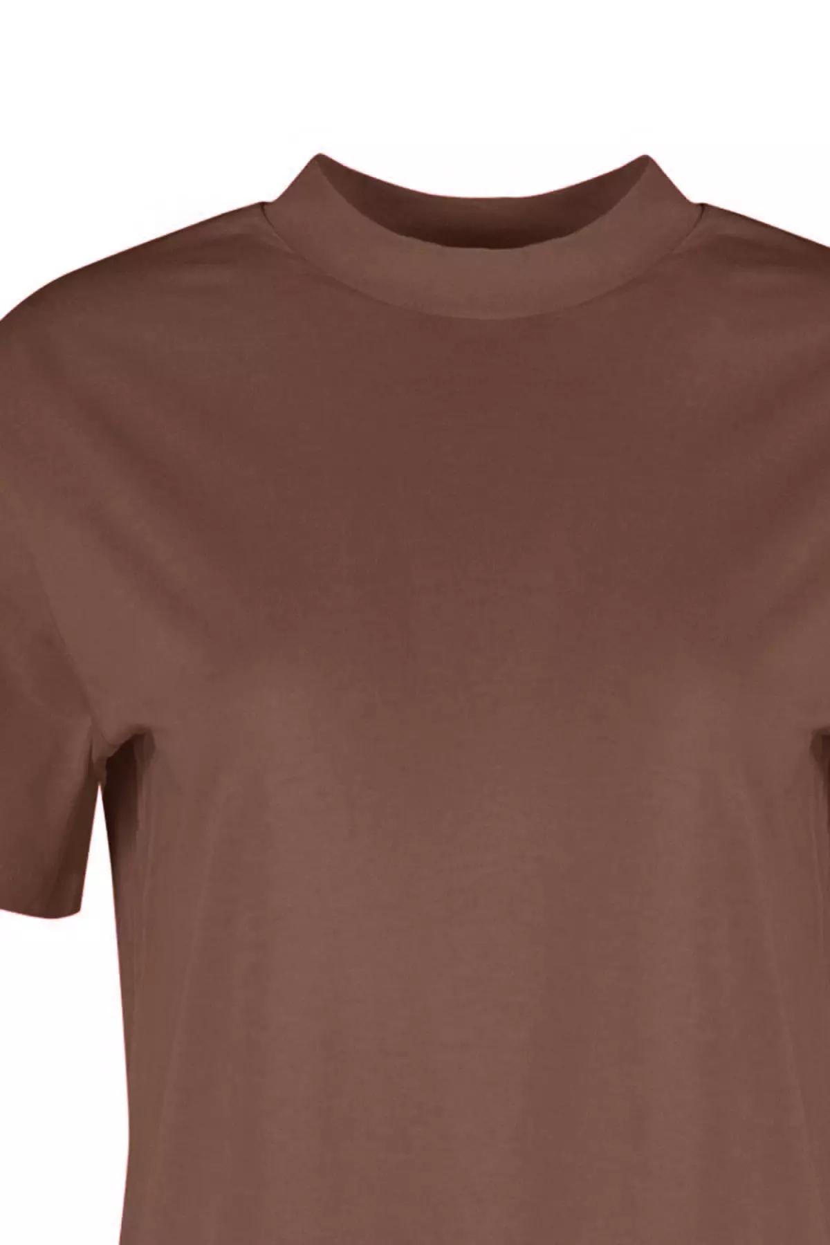 Light Brown 100% Cotton Basic Regular/Normal Pattern Stand Collar Knitted T-Shirt TWOAW20TS0096